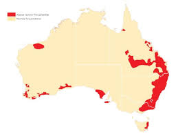 Impact of the bushfires on New South Wales hotel performance